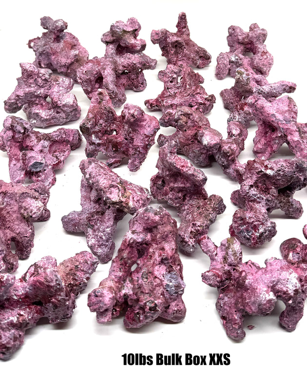 Tropic Eden Morroca Irregular Rock - Extra Extra Small - 10lbs Bulk Box