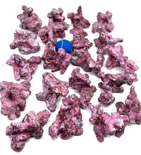 Tropic Eden Morroca Irregular Rock - Extra Extra Small - 10lbs Bulk Box