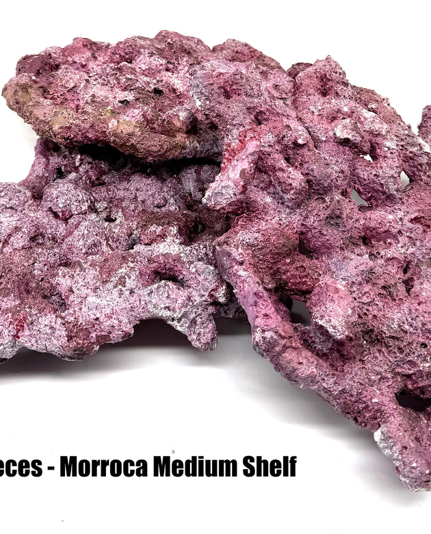 Tropic Eden Morroca Shelf Rock - Med - THREE Piece (3.7-4.2lbs)