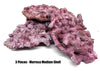 Tropic Eden Morroca Shelf Rock - Med - THREE Piece (3.7-4.2lbs)