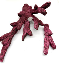 Real Reef Fancy BRANCH Rock - Damaged (WYSIWYG) (2.65lbs)