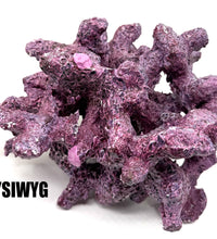 Tropic Eden Morroca Irregular Rock - Large - ONE Piece (approx 5lbs) - Slight Damage - WYSIWYG