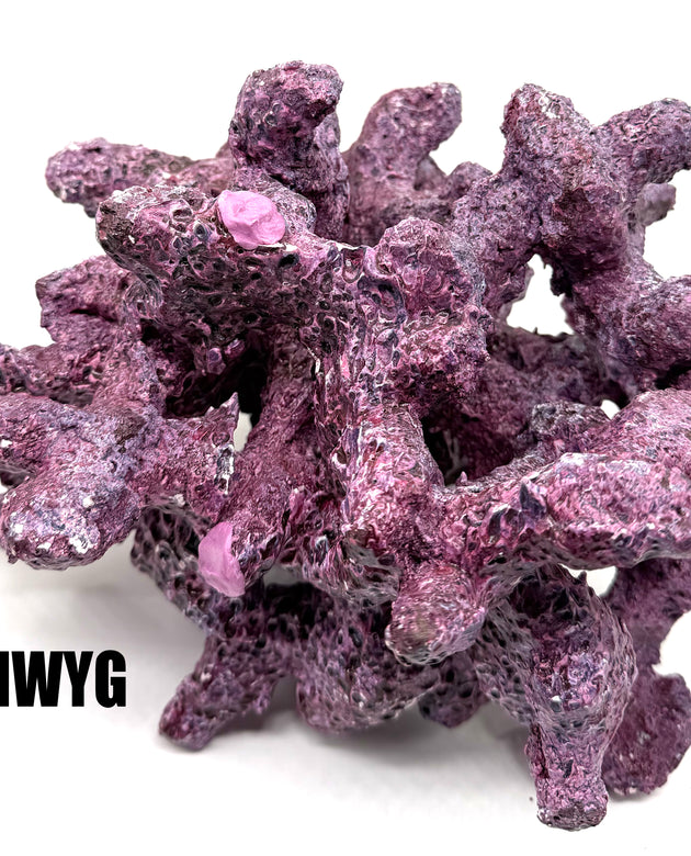 Tropic Eden Morroca Irregular Rock - Large - ONE Piece (approx 5lbs) - Slight Damage - WYSIWYG