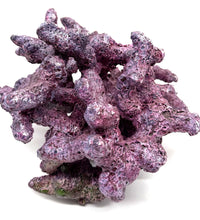 Tropic Eden Morroca Irregular Rock - Large - ONE Piece (approx 5lbs) - Slight Damage - WYSIWYG