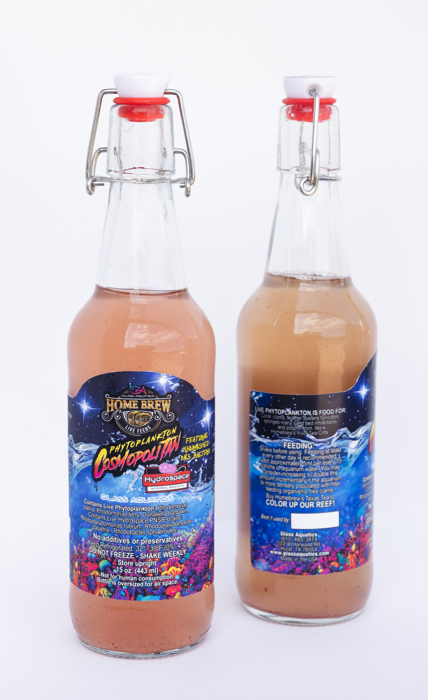 Home Brew Cosmopolitan Plankton Cocktail 1.5L