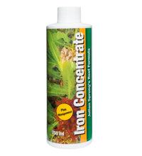 Iron Concentrate 250 ml (8.4 fl oz) bottle 