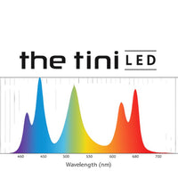 Dalua Illumagic Tini Freshwater LED Light