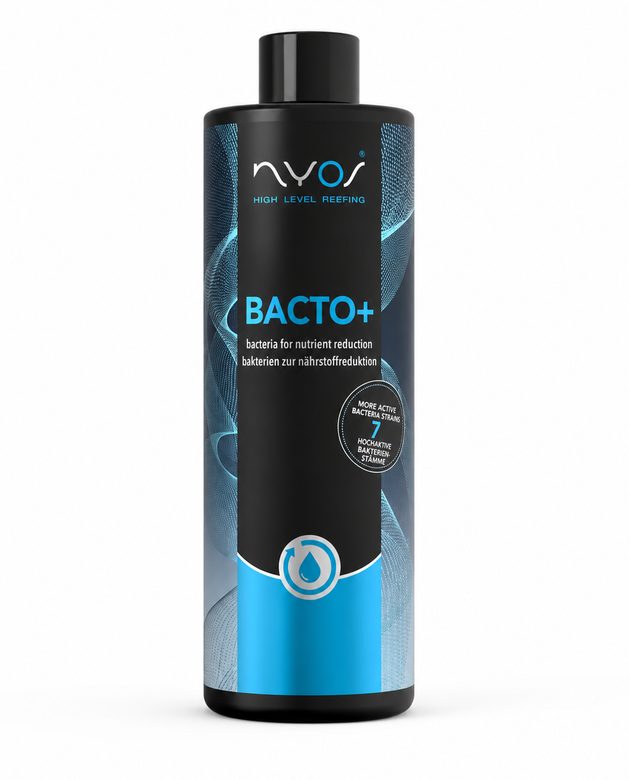 Bacto Plus 100ml