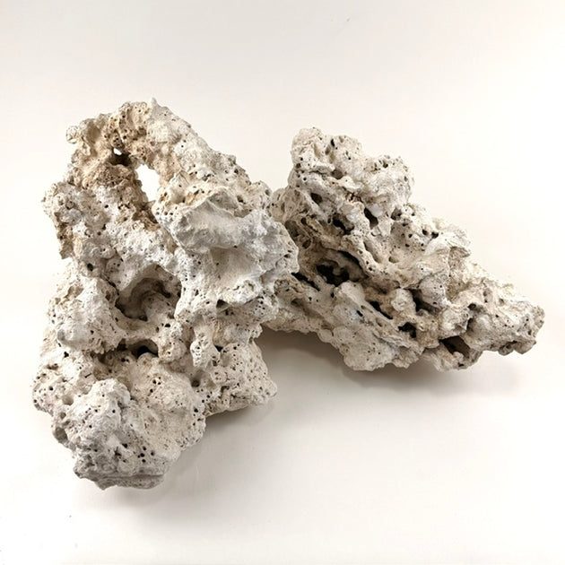 Fiji Pukani Dry Coral Rock per pound
