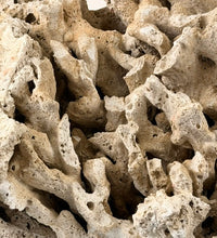 Fiji Pukani Dry Coral Rock per pound