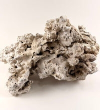 Fiji Pukani Dry Coral Rock - 30LB BOX