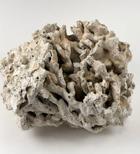 Fiji Pukani Dry Coral Rock - 30LB BOX