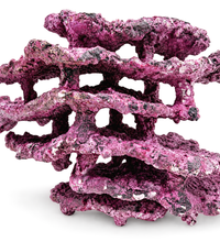 Tropic Eden Morroca MontiStack Reef Rock - Large WYSIWYG