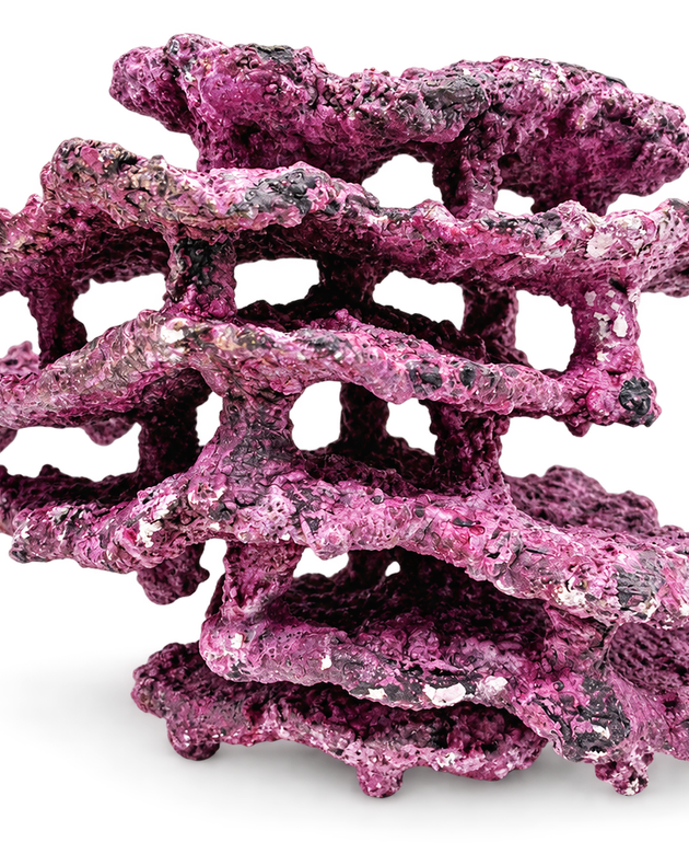 Tropic Eden Morroca MontiStack Reef Rock - Large WYSIWYG