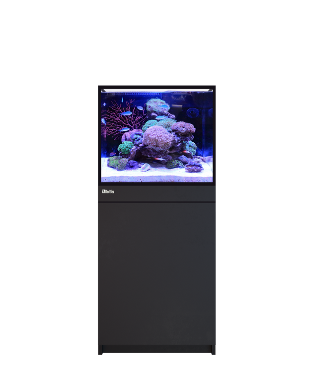 Red Sea Reef-Frame 170 Black