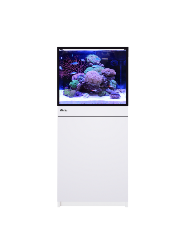 Red Sea Reef-Frame 170 White