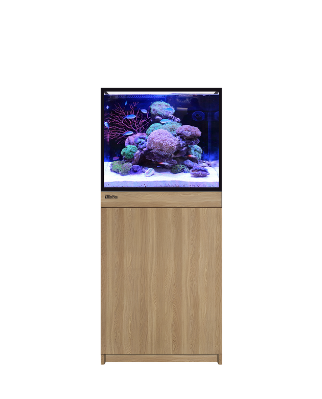 Red Sea Reef-Frame 170 Oak