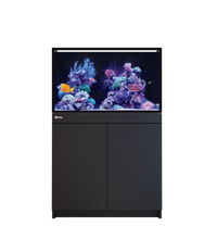 Red Sea Reef-Frame 250 Black