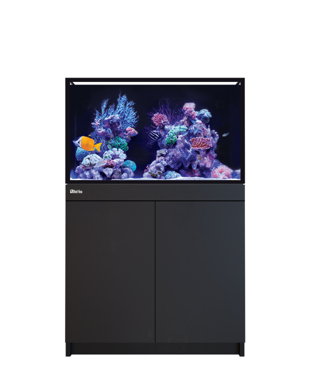 Red Sea Reef-Frame 250 Black