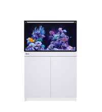 Red Sea Reef-Frame 250 White