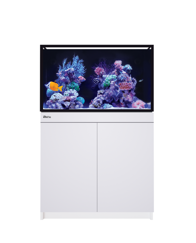 Red Sea Reef-Frame 250 White