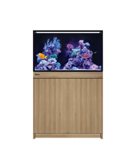 Red Sea Reef-Frame 250 Oak