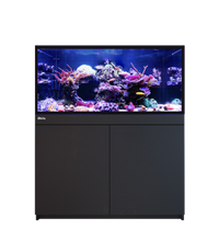 Red Sea Reef-Frame 350 Black