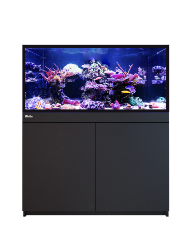 Red Sea Reef-Frame 350 Black
