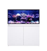 Red Sea Reef-Frame 350 White