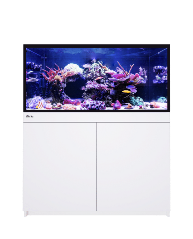 Red Sea Reef-Frame 350 White