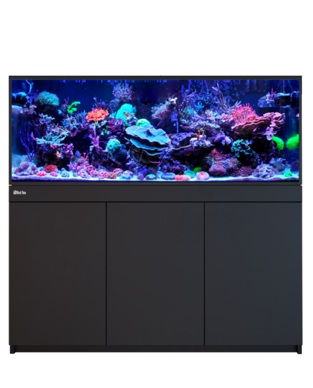 Red Sea Reef-Frame 500 Black