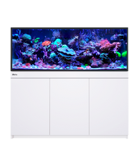 Red Sea Reef-Frame 500 White