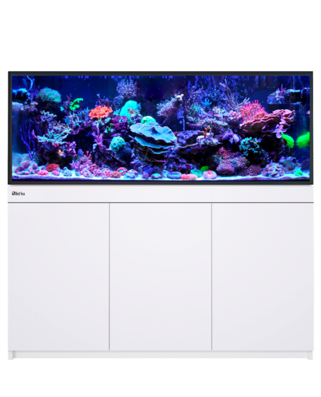 Red Sea Reef-Frame 500 White