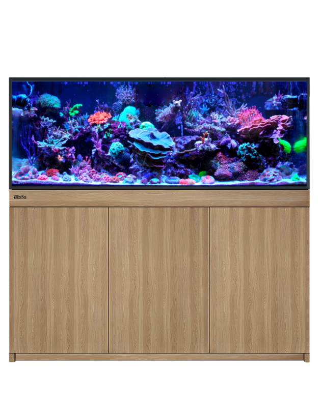 Red Sea Reef-Frame 500 Oak