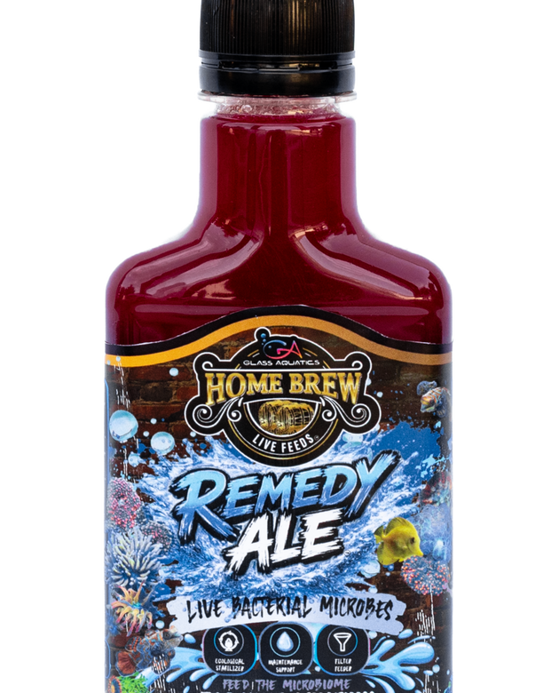 Home Brew Remedy Ale - 200ml