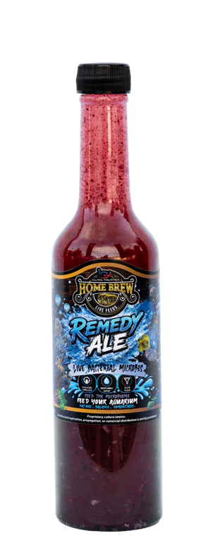 Home Brew Remedy Ale - 16oz