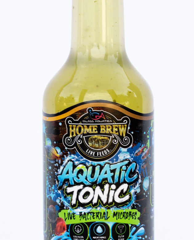 Home Brew Aquatic Tonic - 16oz 