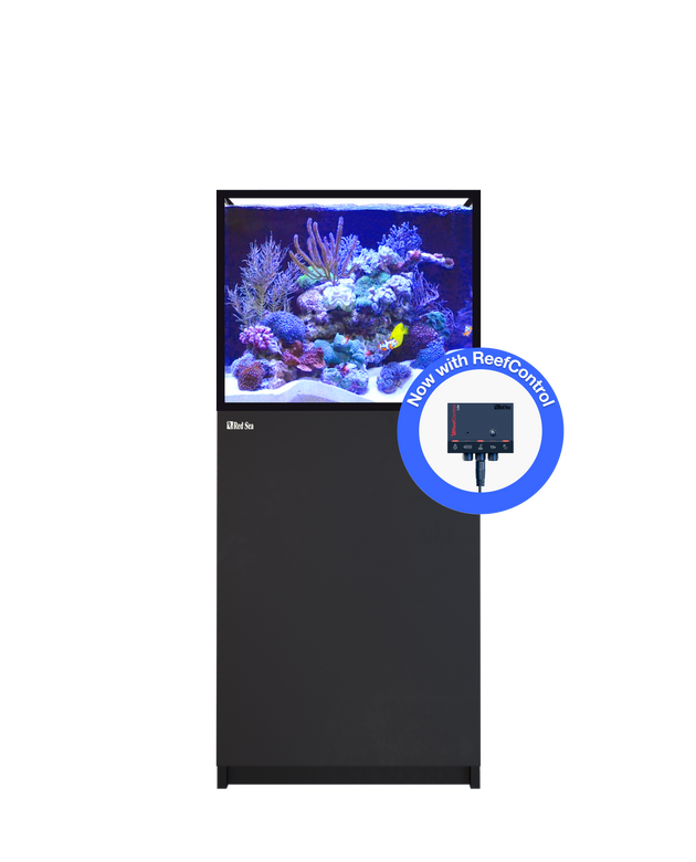 REEFER 200 G3+ Black
