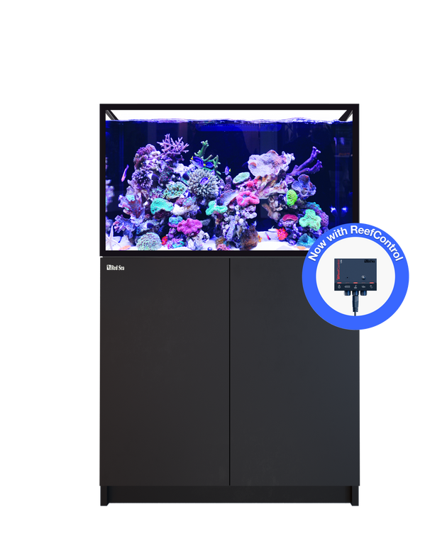 REEFER 300 G3+ Black