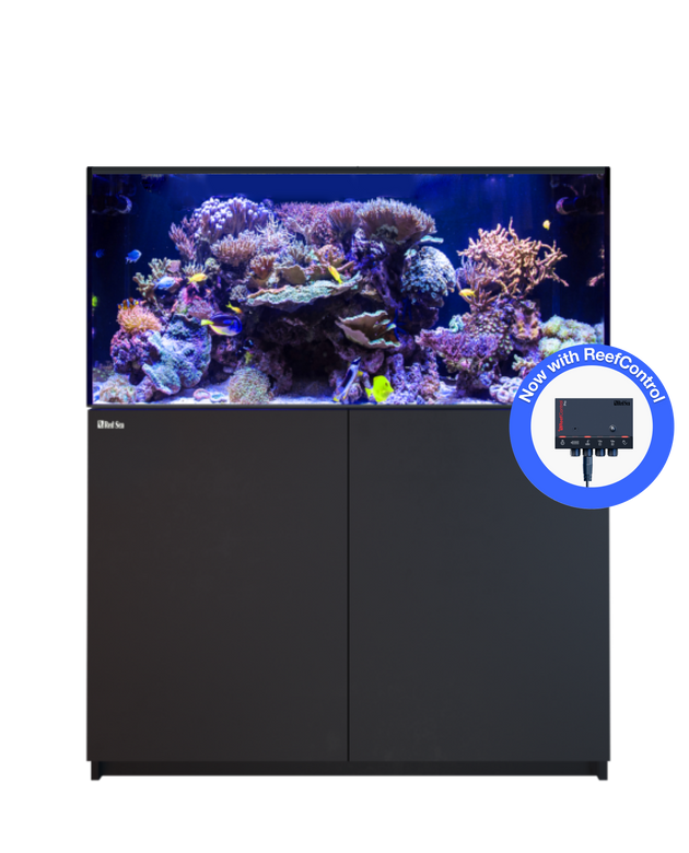 REEFER 425 G3+ Black