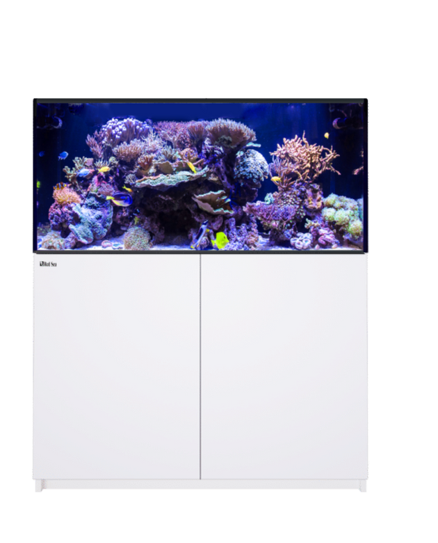 REEFER 425 G3+ White