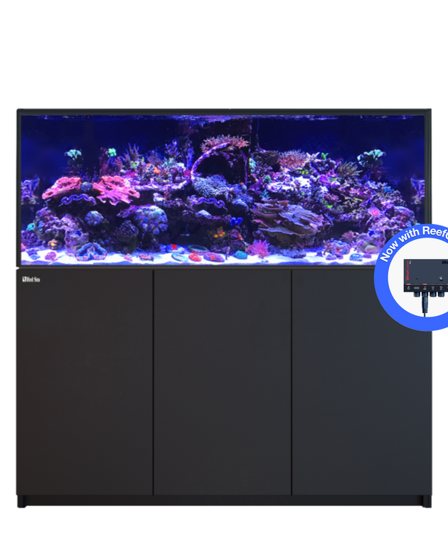 REEFER 625 G3+ Black