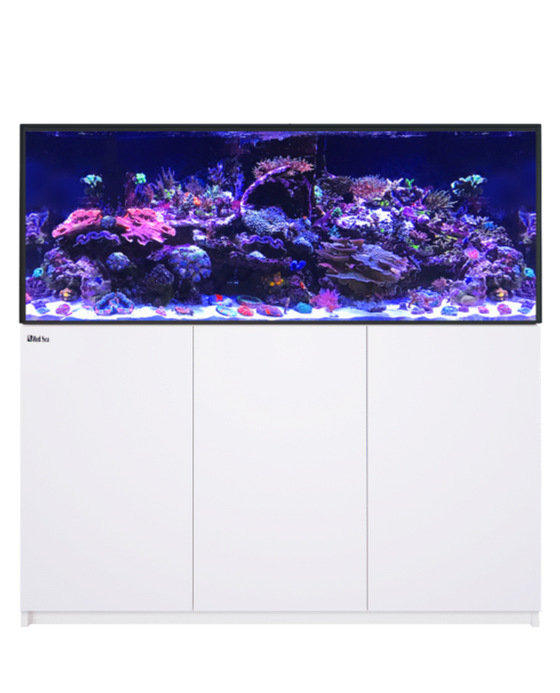 REEFER 625 G3+ White