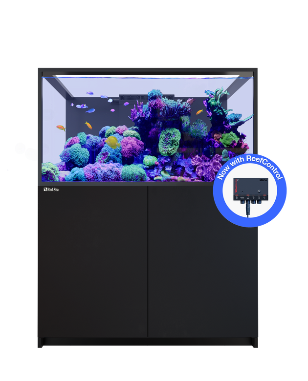 REEFER S-550 G3+ Black
