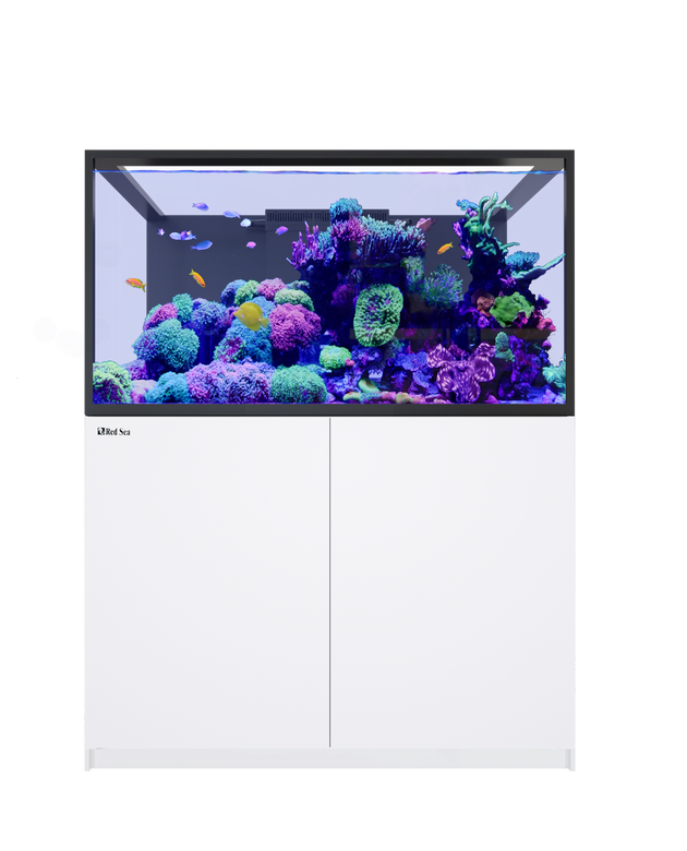 REEFER S-550 G3+ White