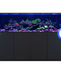 REEFER S-850 G3+ Black