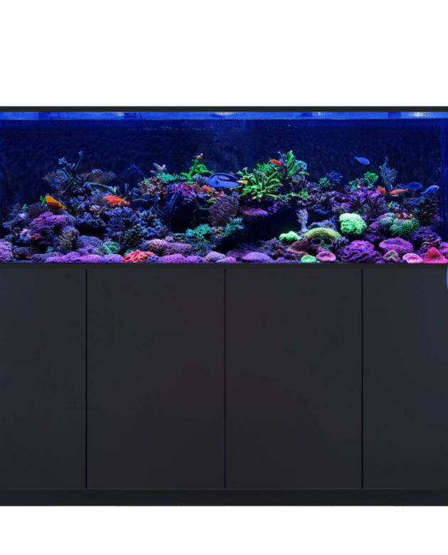 REEFER S-850 G3+ Black