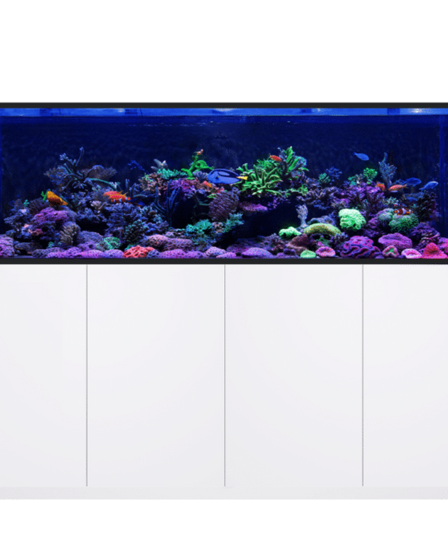 REEFER S-850 G3+ White