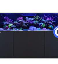 REEFER S-1000 G3+ Black