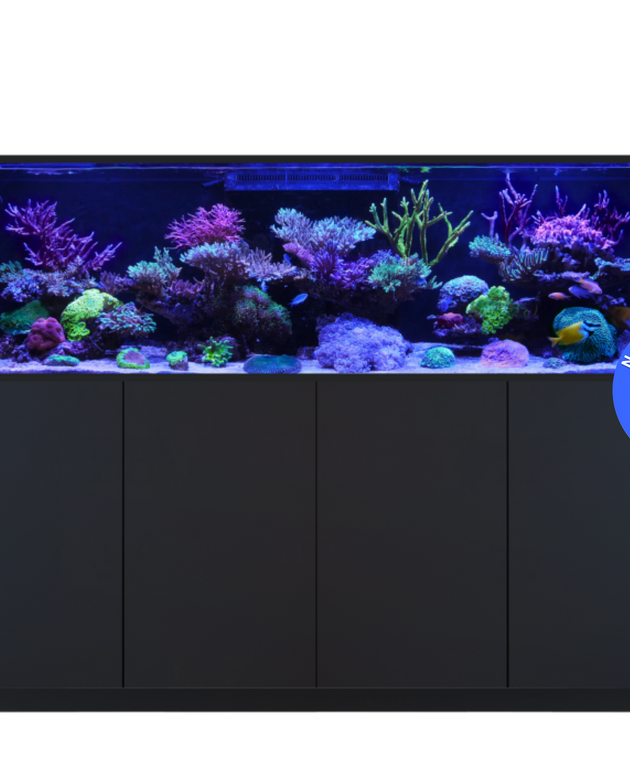 REEFER S-1000 G3+ Black